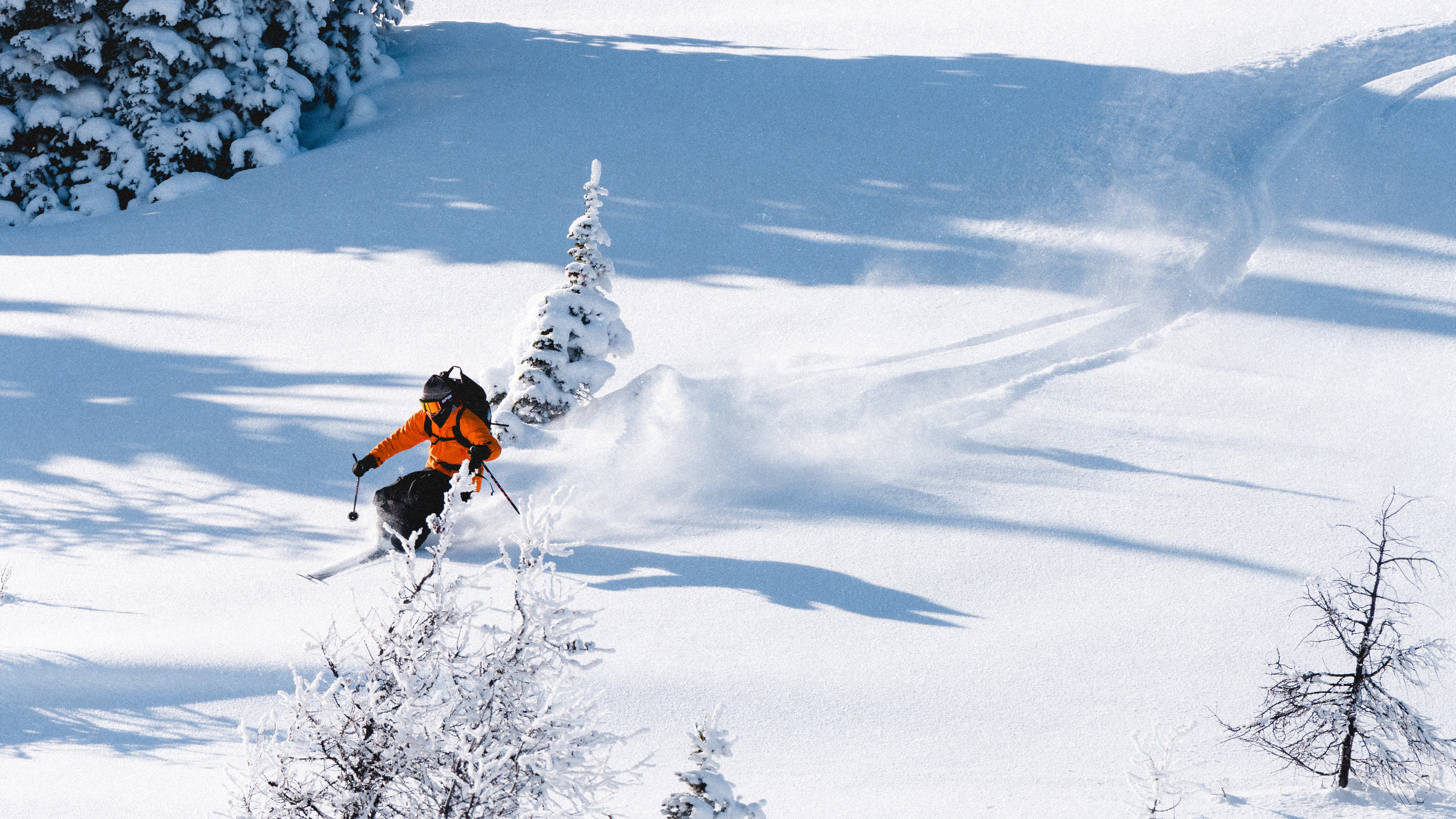 Image de diapositive