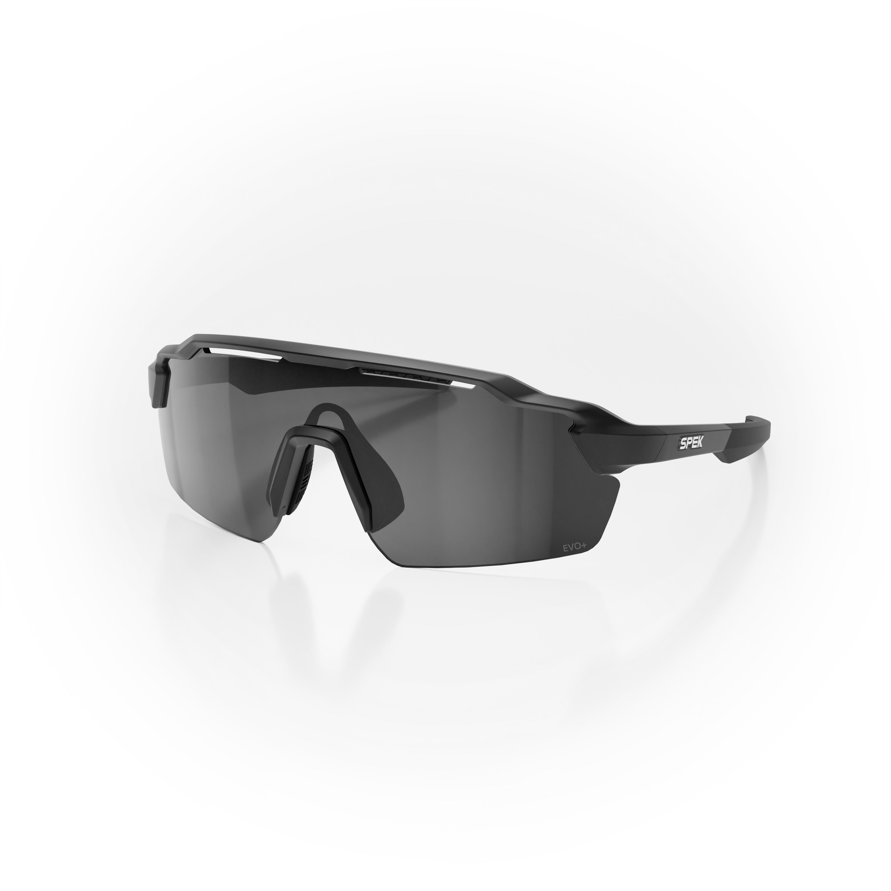 STRYVE II PHOTOCHROMIQUE PRO