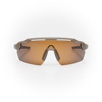 Lunettes de soleil STRYVE II — Espresso