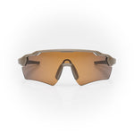 Lunettes de soleil STRYVE II — Espresso