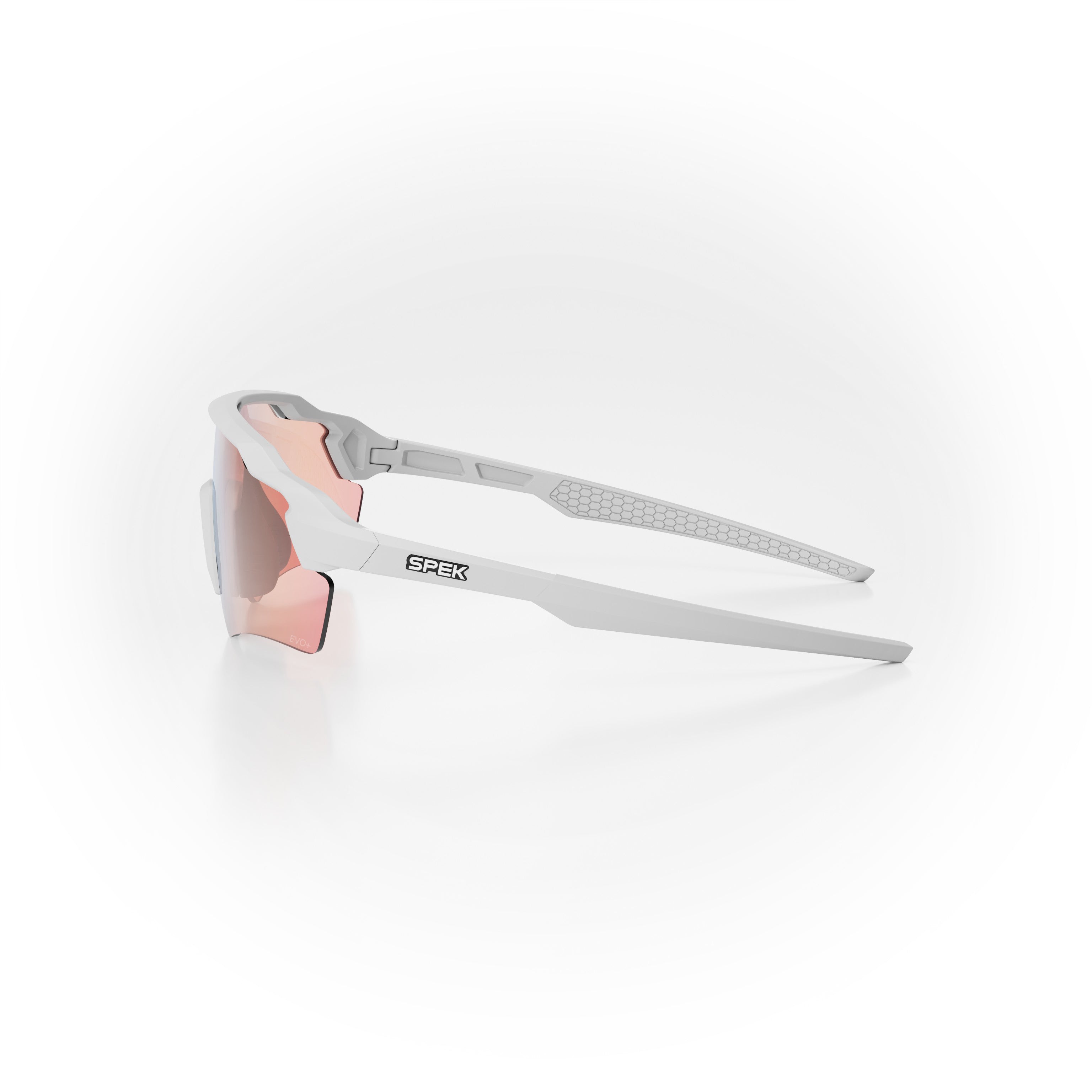 STRYVE II PHOTOCHROMIQUE PRO